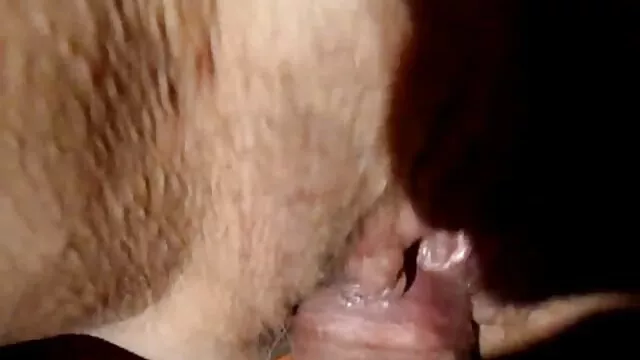 性,狗屎是一个业务 丹妮丹尼尔斯热照片