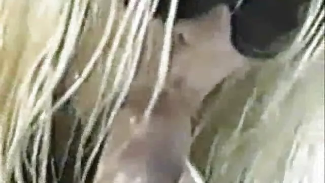 Trans-Visions-8。 安吉拉白色的裸体照片 第1部分。 B部分