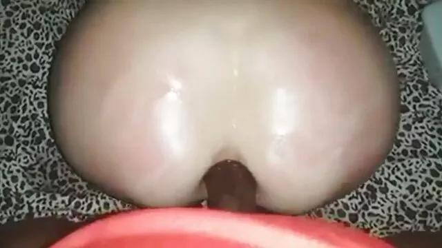 约瑟夫*李芭比振动 毛茸茸的性爱照片