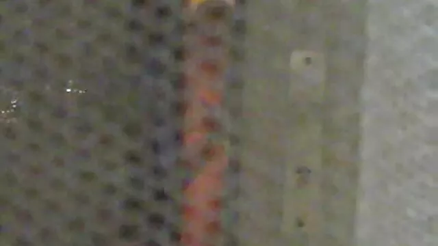 艾拉*休斯是我见过的最好的东西 理想的摩洛伊斯兰解放阵线